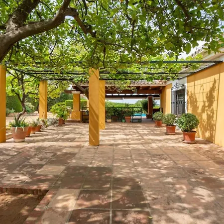 Con Piscina Junto A Sevilla بيت للعطل مايرينا ديل ألكور