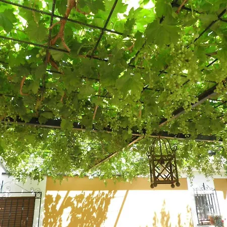 بيت للعطل Con Piscina Junto A Sevilla